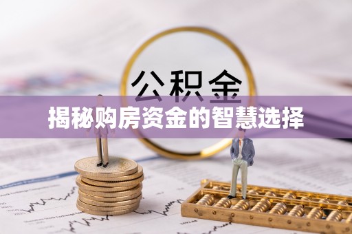 广河揭秘购房资金的智慧选择