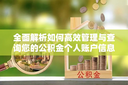 广河全面解析如何高效管理与查询您的公积金个人账户信息