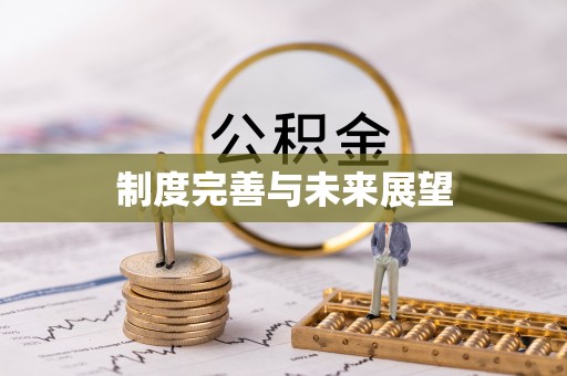 广河制度完善与未来展望