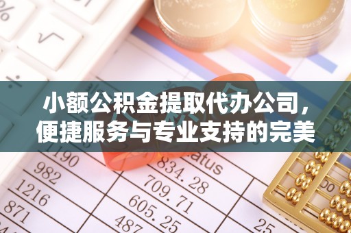 广河小额公积金提取代办公司，便捷服务与专业支持的完美结合