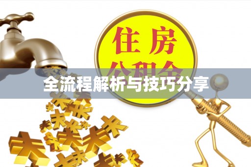 广河全流程解析与技巧分享
